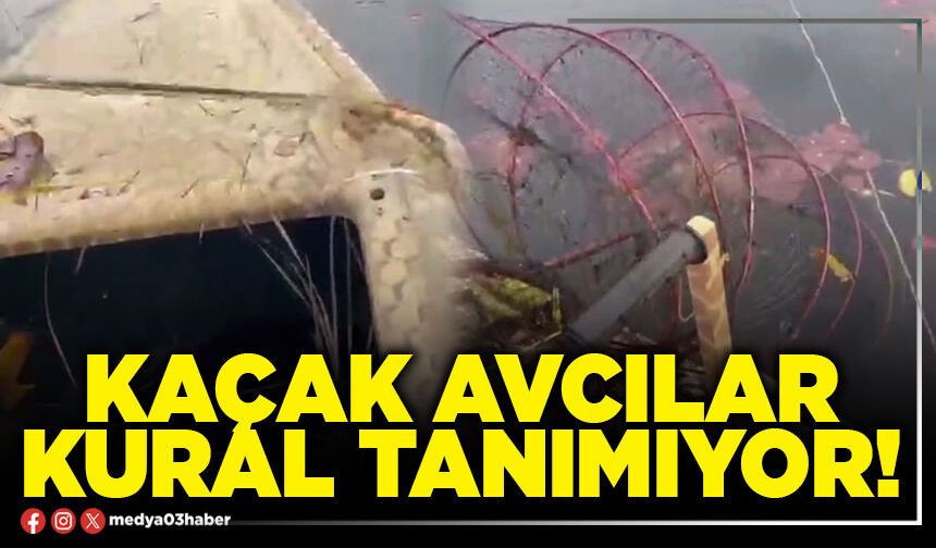 Kaçak avcılar kural tanımıyor!