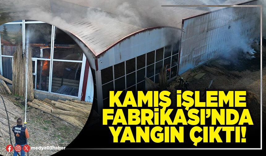 Kamış işleme fabrikası’nda yangın çıktı!