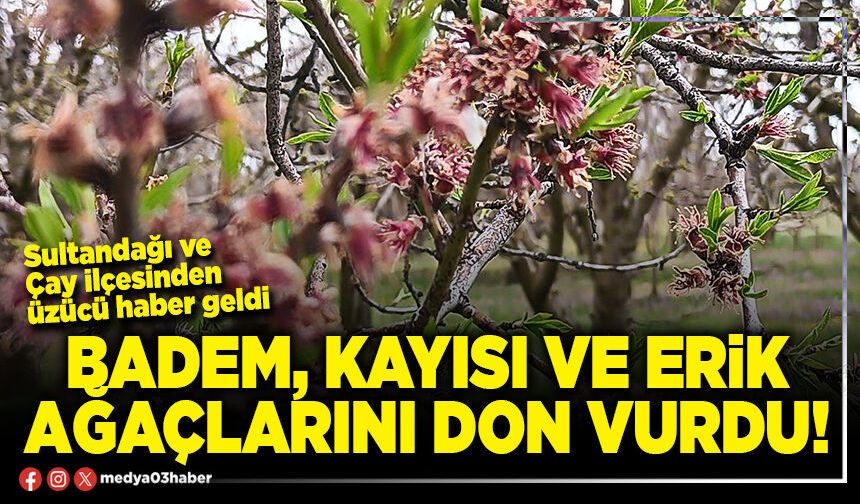 Badem, kayısı ve erik ağaçlarını don vurdu!