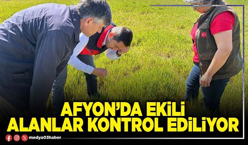 Afyon’da ekili alanlar kontrol ediliyor