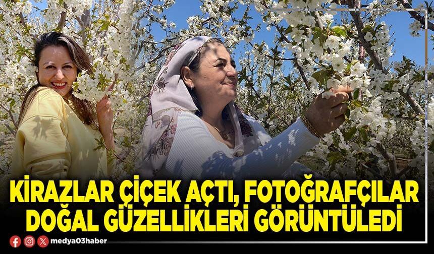 Kirazlar çiçek açtı, fotoğrafçılar doğal güzellikleri görüntüledi