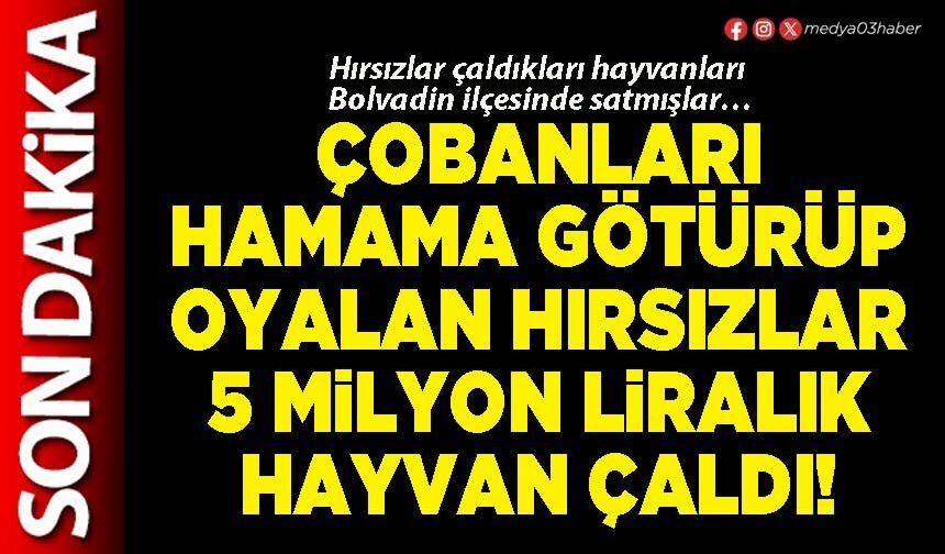 Çobanları hamama götürüp oyalan hırsızlar 5 Milyon liralık hayvan çaldı!