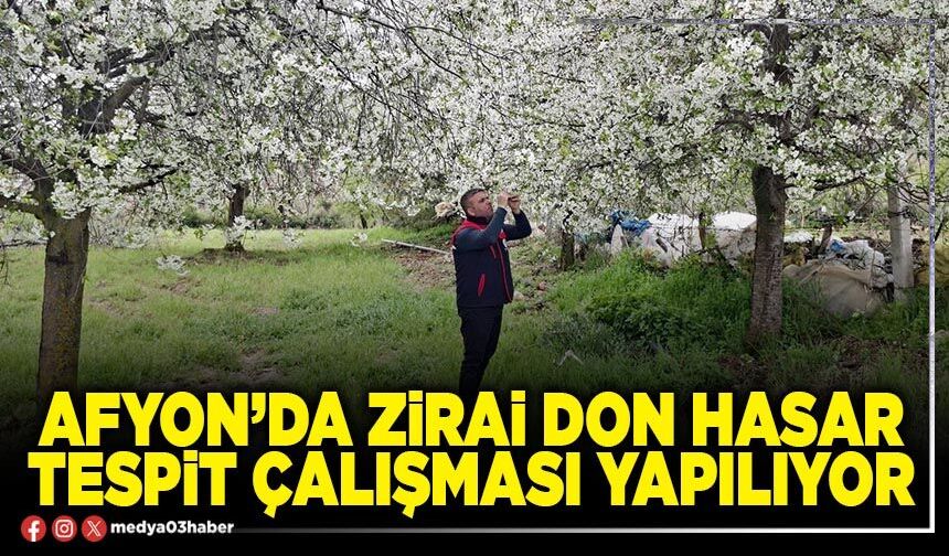 Afyon’da zirai don hasar tespit çalışması yapılıyor
