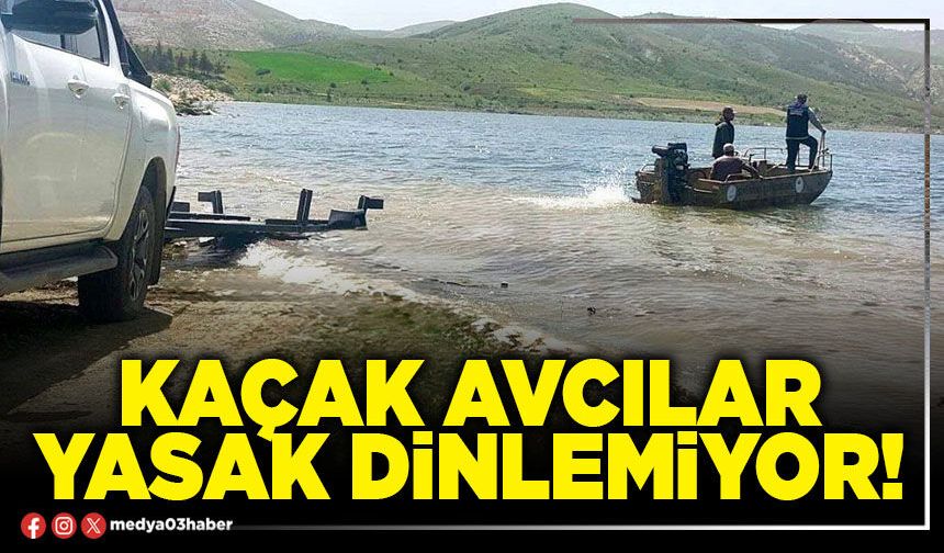 Kaçak avcılar yasak dinlemiyor!