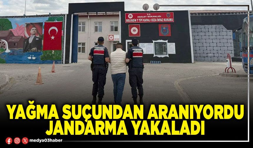 Yağma suçundan aranıyordu Jandarma yakaladı
