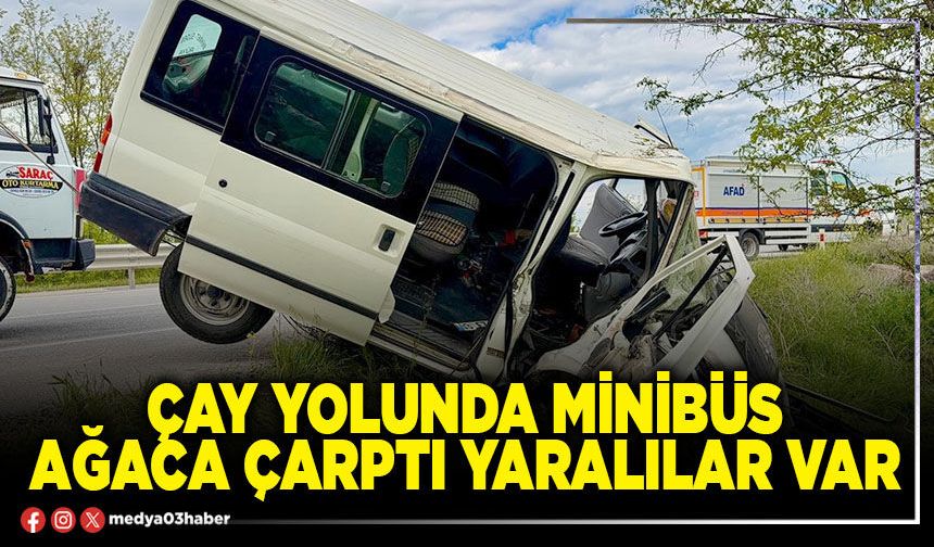 Çay yolunda minibüs ağaca çarptı yaralılar var