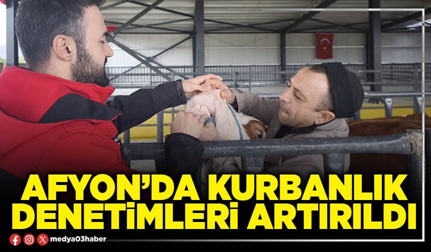 Afyon’da kurbanlık denetimleri artırıldı