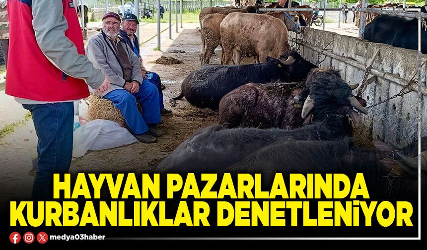 Hayvan pazarlarında kurbanlıklar denetleniyor
