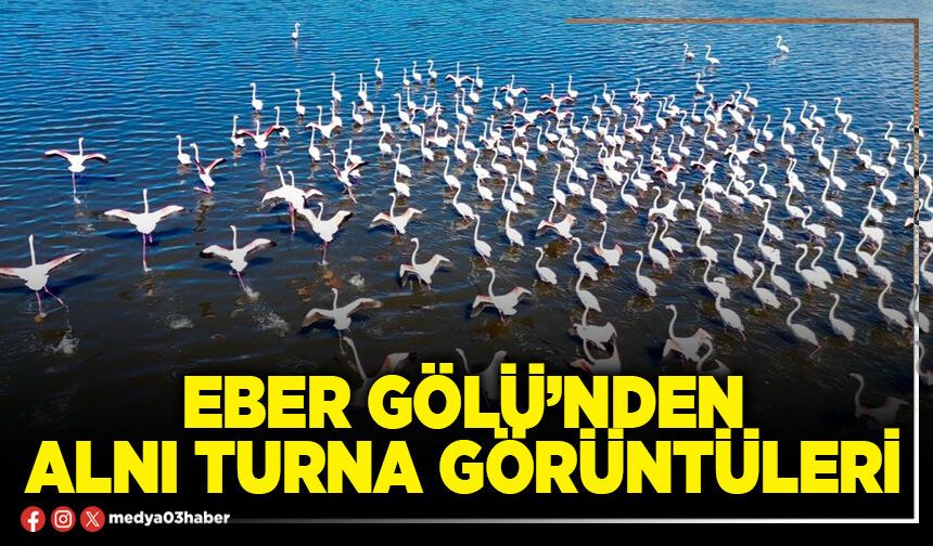 Eber Gölü’nden alnı turna görüntüleri