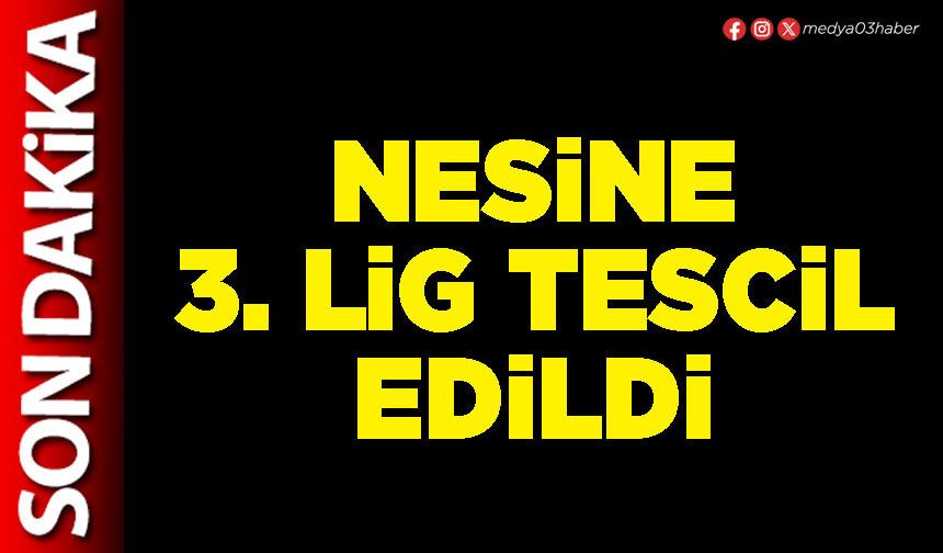 Nesine 3. Lig tescil edildi
