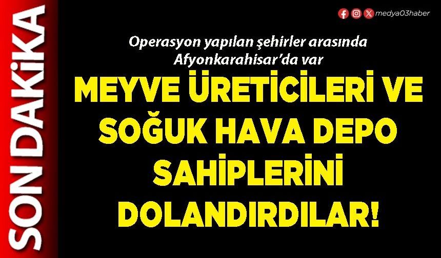 Meyve üreticileri ve soğuk hava depo sahiplerini dolandırdılar!