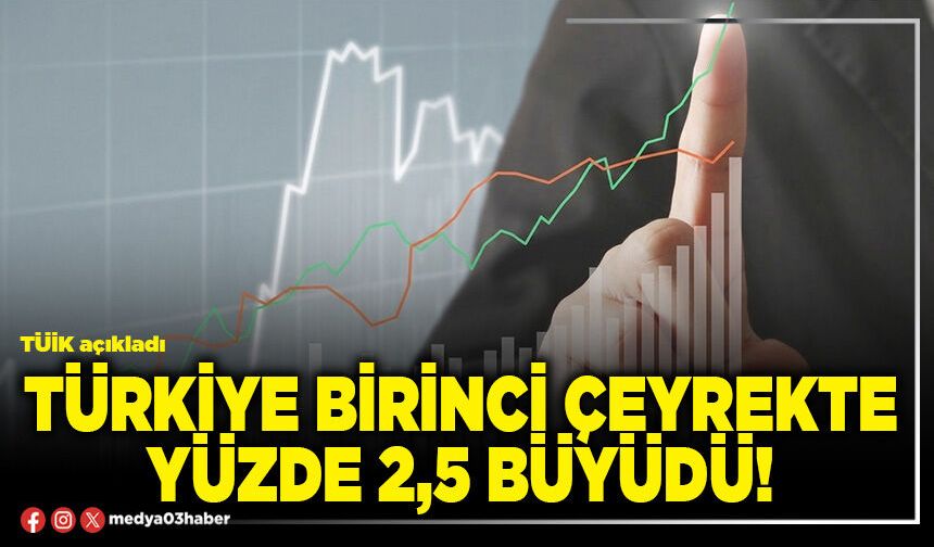 Türkiye birinci çeyrekte yüzde 2,5 büyüdü!