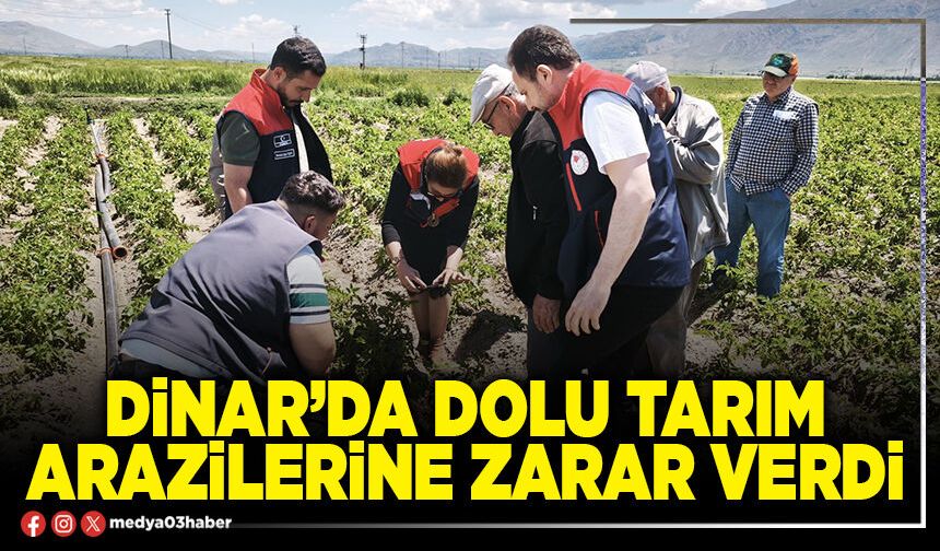 Dinar’da dolu tarım arazilerine zarar verdi