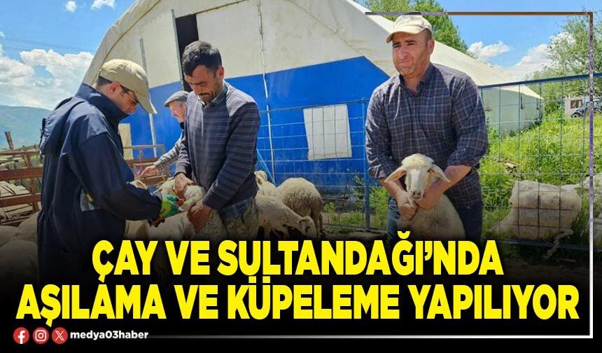 Çay ve Sultandağı’nda aşılama ve küpeleme yapılıyor