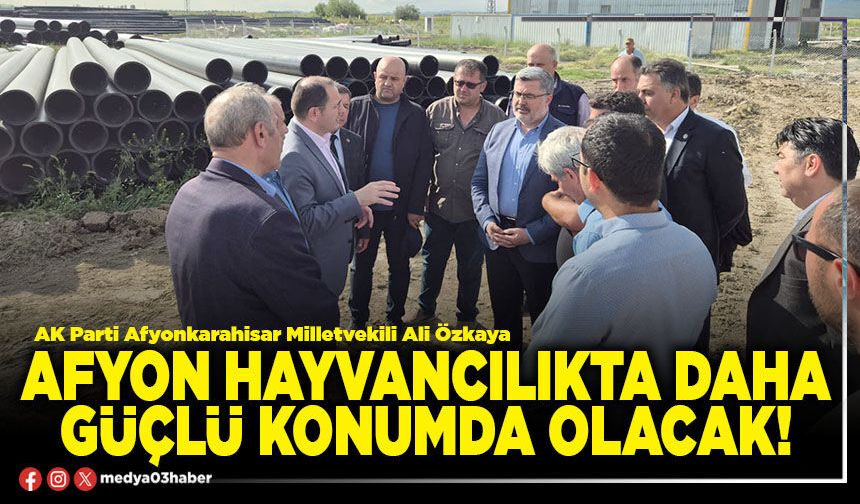 Afyon hayvancılıkta daha güçlü konumda olacak!