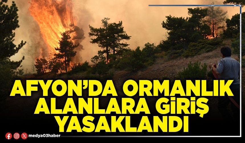 Afyon’da ormanlık alanlara giriş yasaklandı