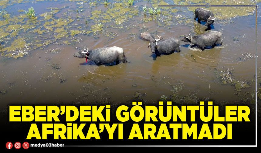 Eber’deki görüntüler Afrika’yı aratmadı