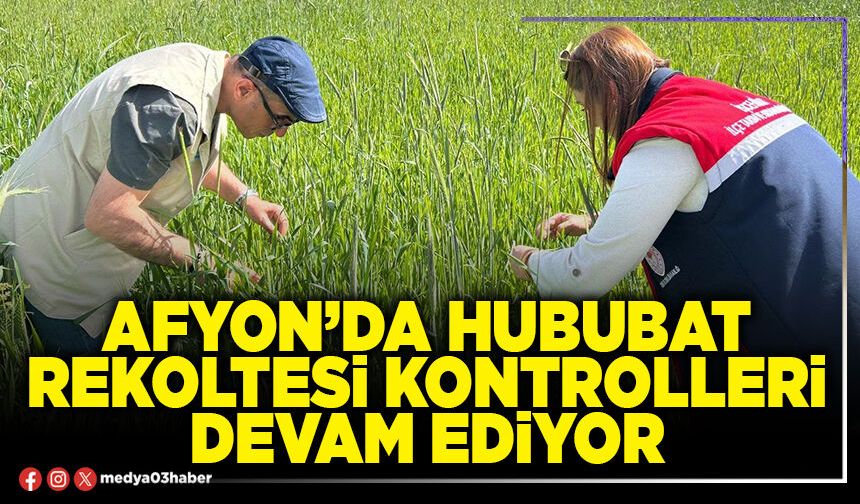 Afyon’da hububat rekoltesi kontrolleri devam ediyor