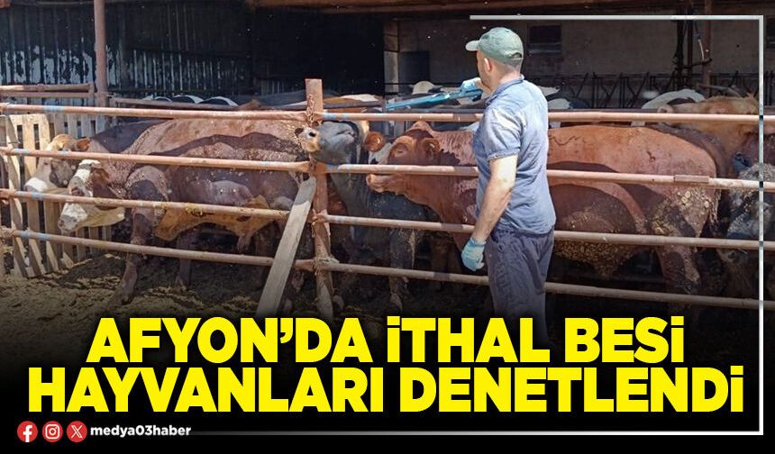 Afyon’da ithal besi hayvanları denetlendi