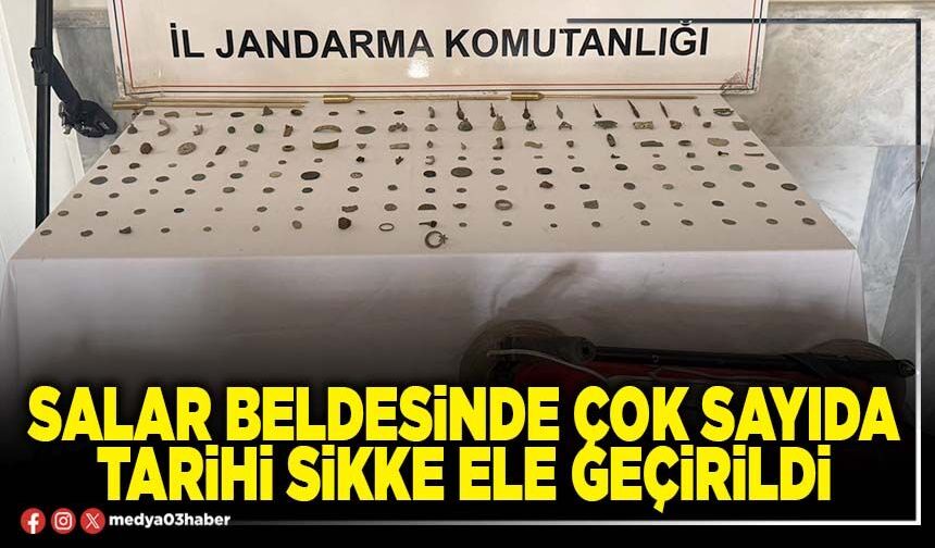 Salar Beldesinde çok sayıda tarihi sikke ele geçirildi