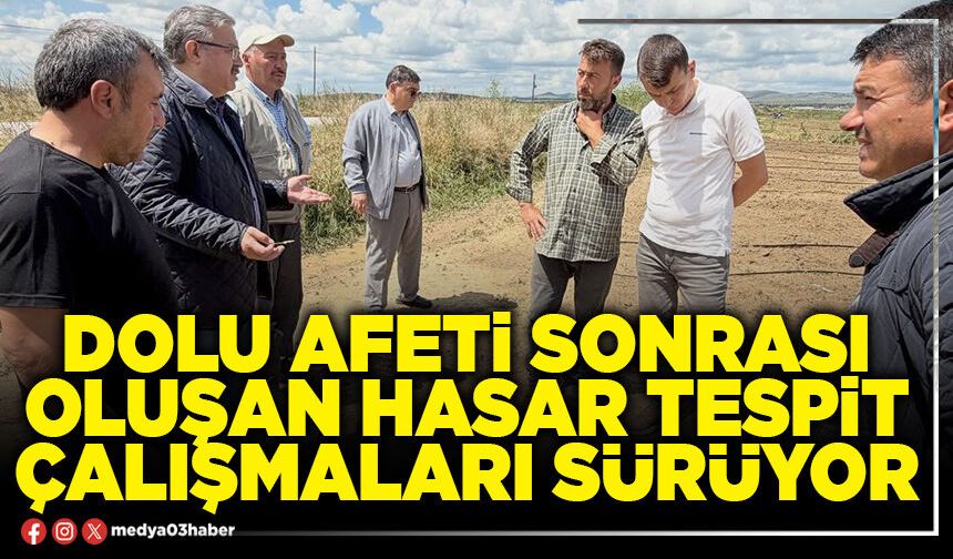 Dolu afeti sonrası oluşan hasar tespit çalışmaları sürüyor