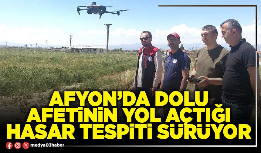 Afyon’da dolu afetinin yol açtığı hasar tespiti sürüyor