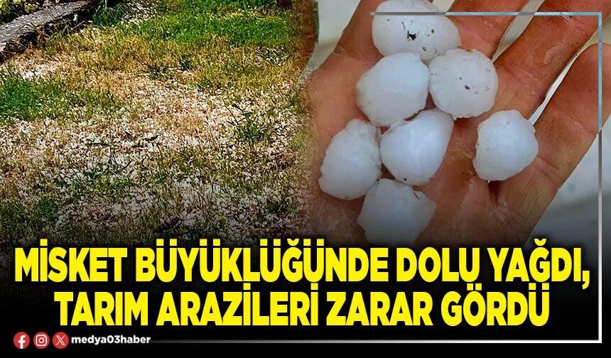 Misket büyüklüğünde dolu yağdı, tarım arazileri zarar gördü