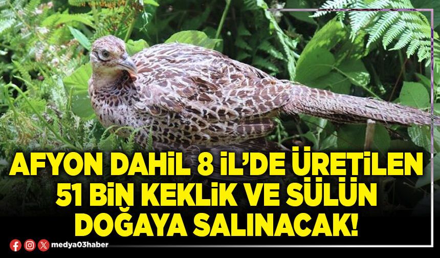 Afyon dahil 8 İl’de üretilen 51 bin keklik ve sülün doğaya salınacak!