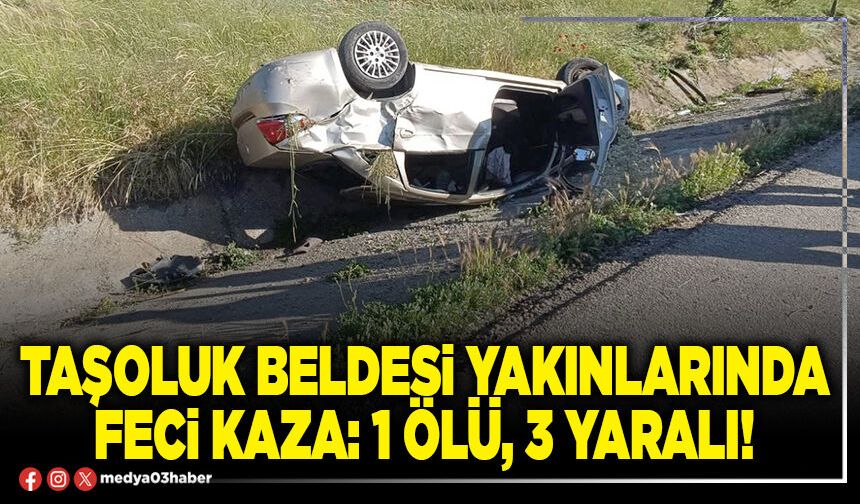 Taşoluk beldesi yakınlarında feci kaza: 1 ölü, 3 yaralı!