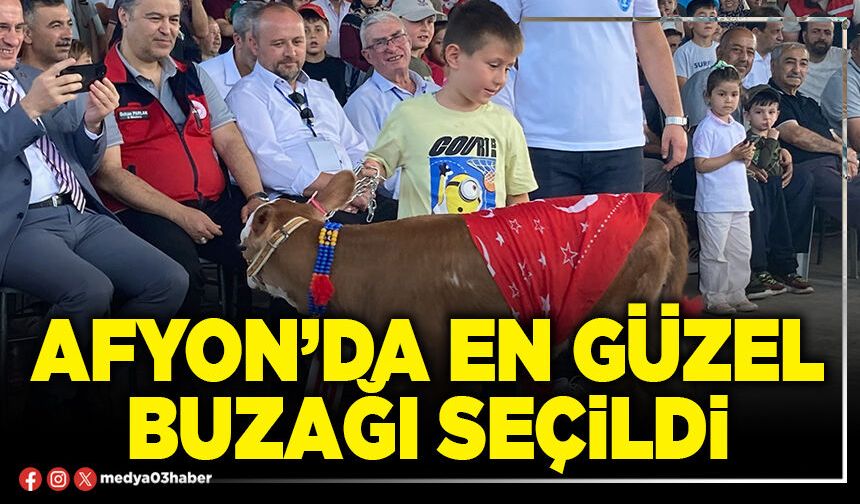 Afyon’da en güzel buzağı seçildi