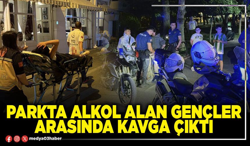 Parkta alkol alan gençler arasında kavga çıktı