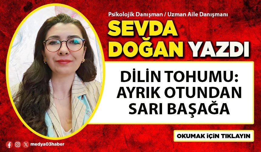 Dilin tohumu: Ayrık otundan sarı başağa