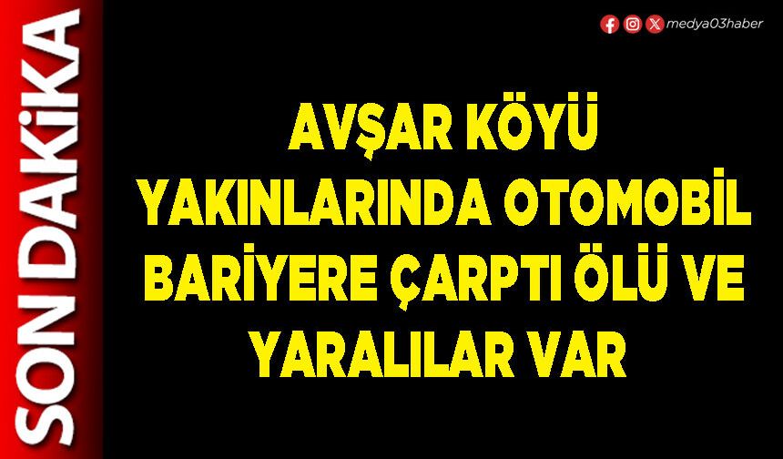 Avşar Köyü yakınlarında otomobil bariyere çarptı ölü ve yaralılar var