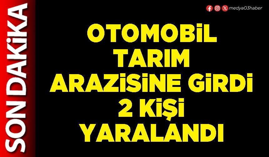 Otomobil tarım arazisine girdi 2 kişi yaralandı