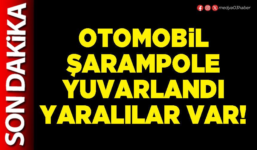 Otomobil şarampole yuvarlandı yaralılar var!