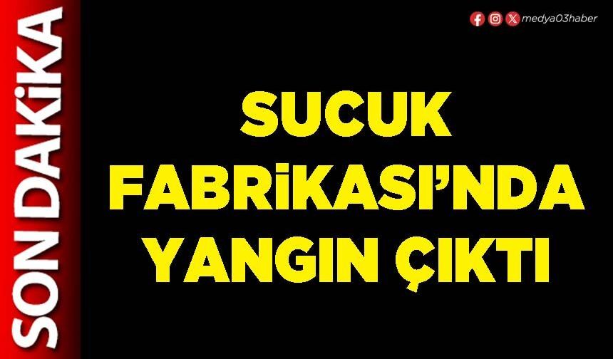 Sucuk Fabrikası’nda yangın çıktı