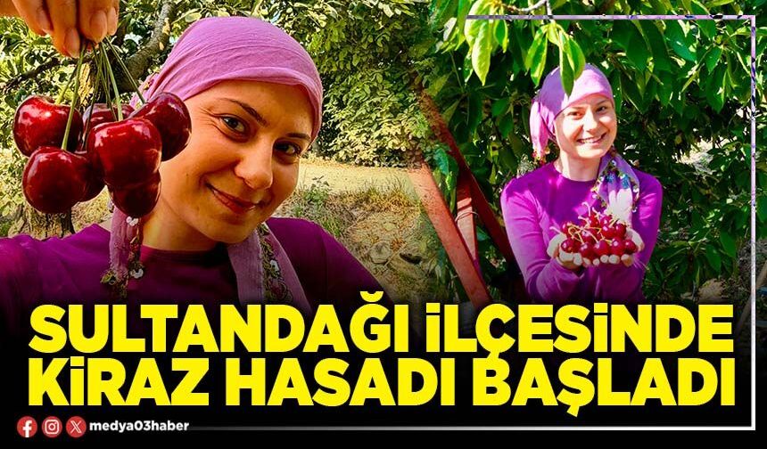 Sultandağı İlçesinde kiraz hasadı başladı