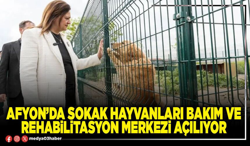 Afyon’da Sokak Hayvanları Bakım ve Rehabilitasyon Merkezi açılıyor