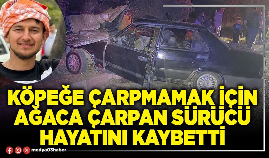 Köpeğe çarpmamak için ağaca çarpan sürücü hayatını kaybetti