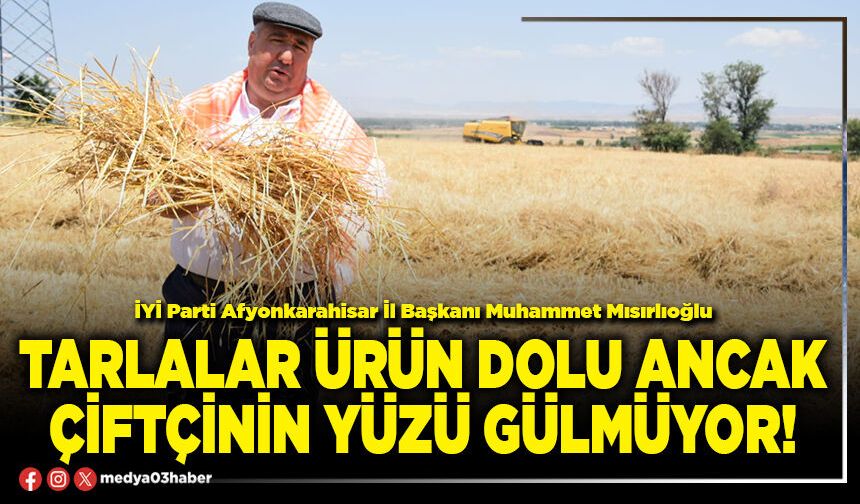 Tarlalar ürün dolu ancak çiftçinin yüzü gülmüyor!