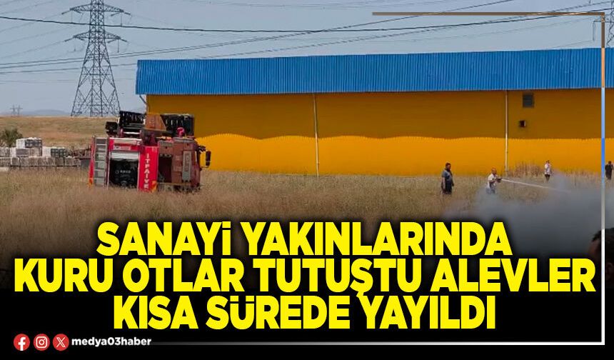 Sanayi yakınlarında kuru otlar tutuştu alevler kısa sürede yayıldı
