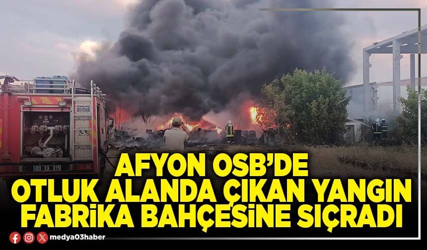 Afyon OSB’de otluk alanda çıkan yangın fabrika bahçesine sıçradı