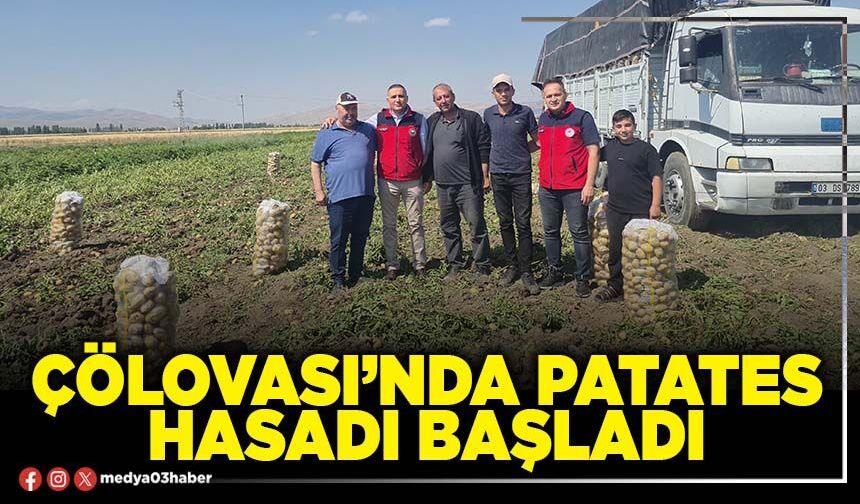Çölovası’nda patates hasadı başladı