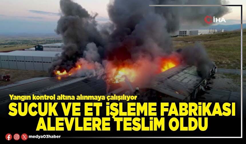 Sucuk ve et işleme fabrikası alevlere teslim oldu