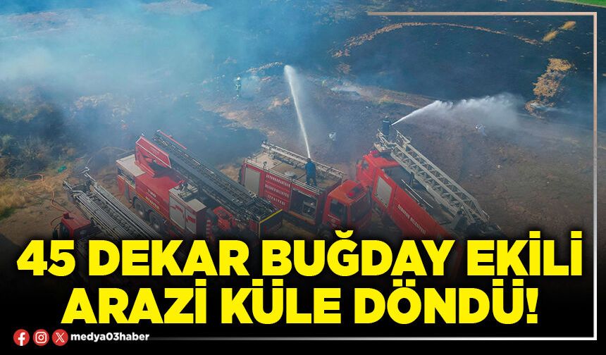 45 dekar buğday ekili arazi küle döndü!