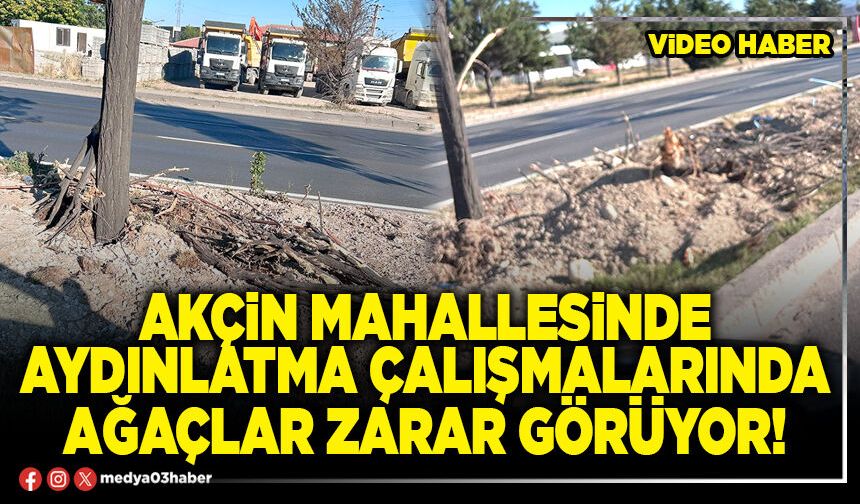 Akçin Mahallesinde aydınlatma çalışmalarında ağaçlar zarar görüyor!