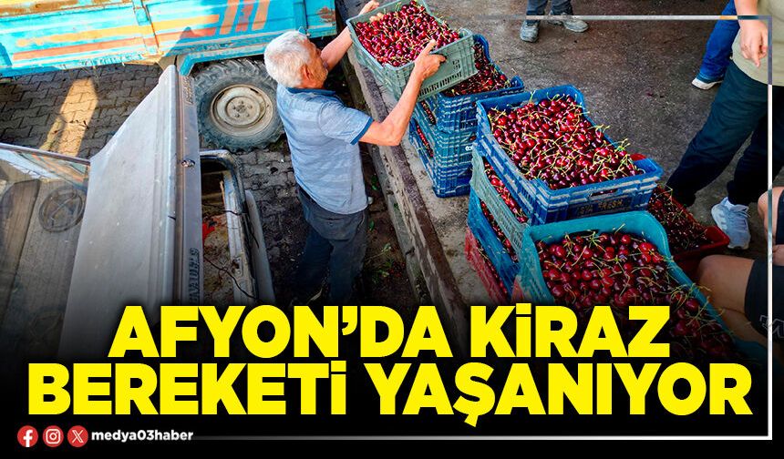 Afyon’da kiraz bereketi yaşanıyor
