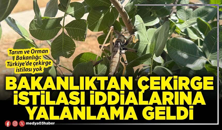 Bakanlıktan çekirge istilası iddialarına yalanlama geldi