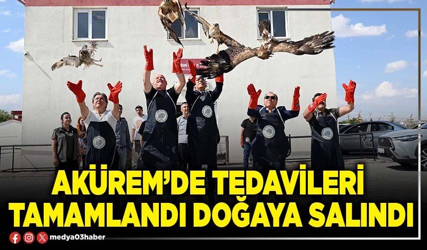AKÜREM’de tedavileri tamamlandı doğaya salındı