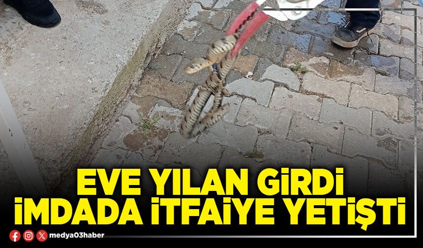 Eve yılan girdi imdada itfaiye yetişti